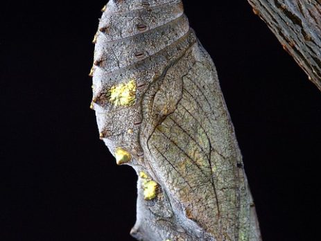 Transform Your Tech Issues into Solutions with Our Remote Support! 🔧💡