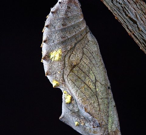 Transform Your Tech Issues into Solutions with Our Remote Support! 🔧💡