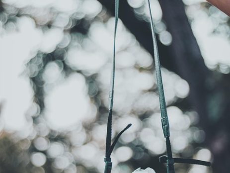 💻 From Concept to Launch: The Web Development Journey Explained!