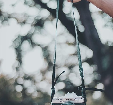 💻 From Concept to Launch: The Web Development Journey Explained!